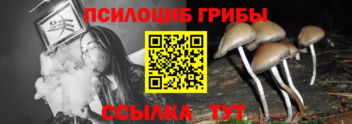 Можга  Галлюциногенные грибы MAGIC MUSHROOMS  купить закладку  Вход с VPN 